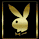 bunny.gif