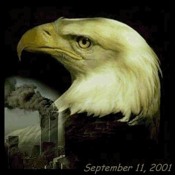 eagleweep.gif