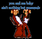 mammals.jpg
